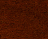 Orzech (meranti)