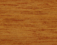 Pinia (meranti)