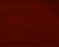 Afromozja (sosna)