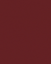SAL-19